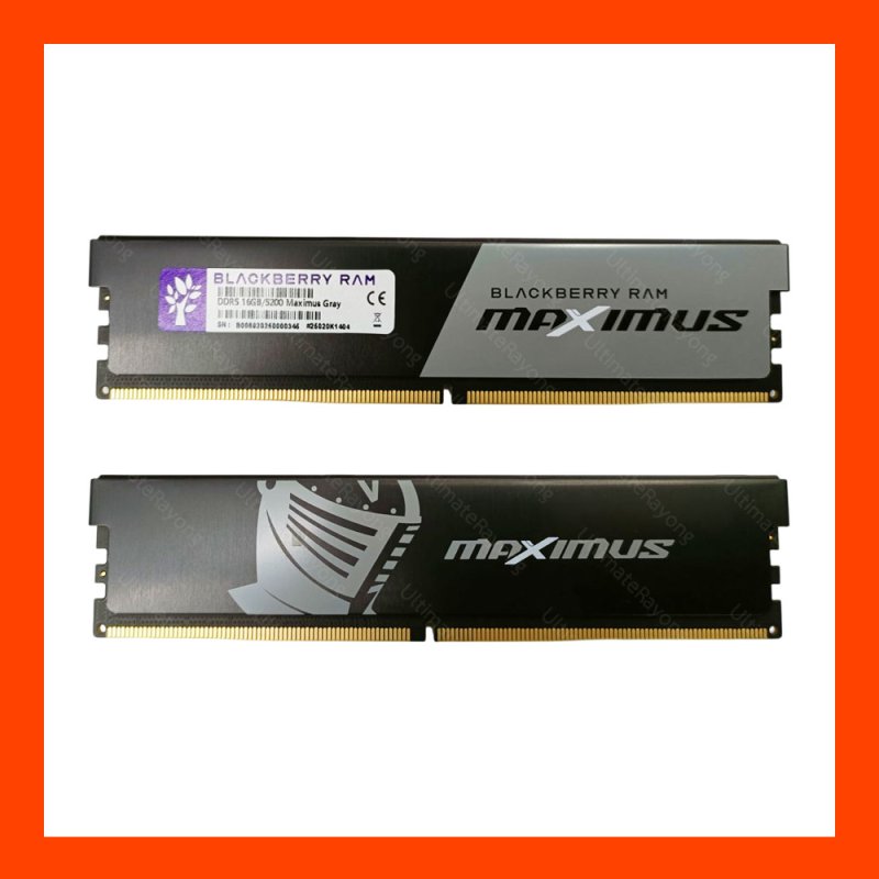 RAM DDR5 (5200) 16GB BLACKBERRY MAXIMUS GRAY