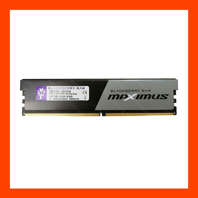 RAM DDR5 (5200) 16GB BLACKBERRY MAXIMUS GRAY