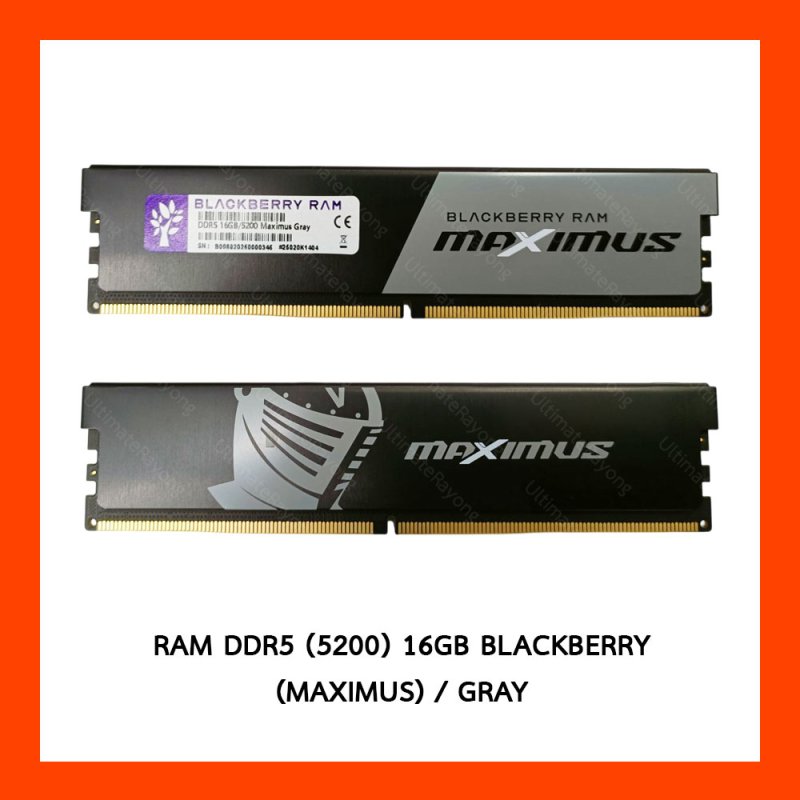 RAM DDR5 (5200) 16GB BLACKBERRY MAXIMUS GRAY