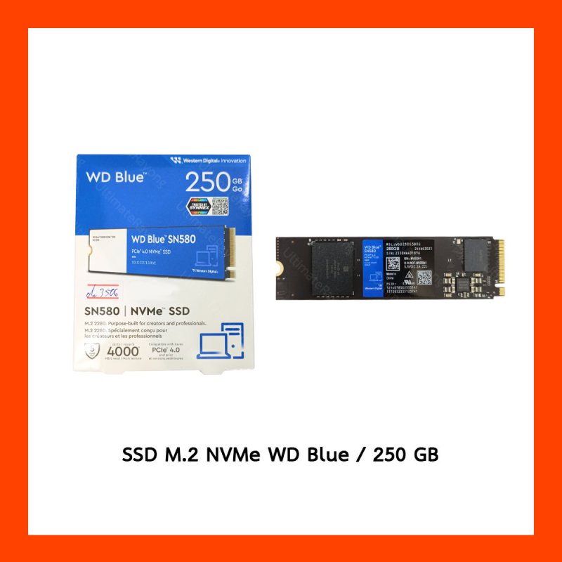 SSD M.2 NVMe WD Blue SN550 250GB