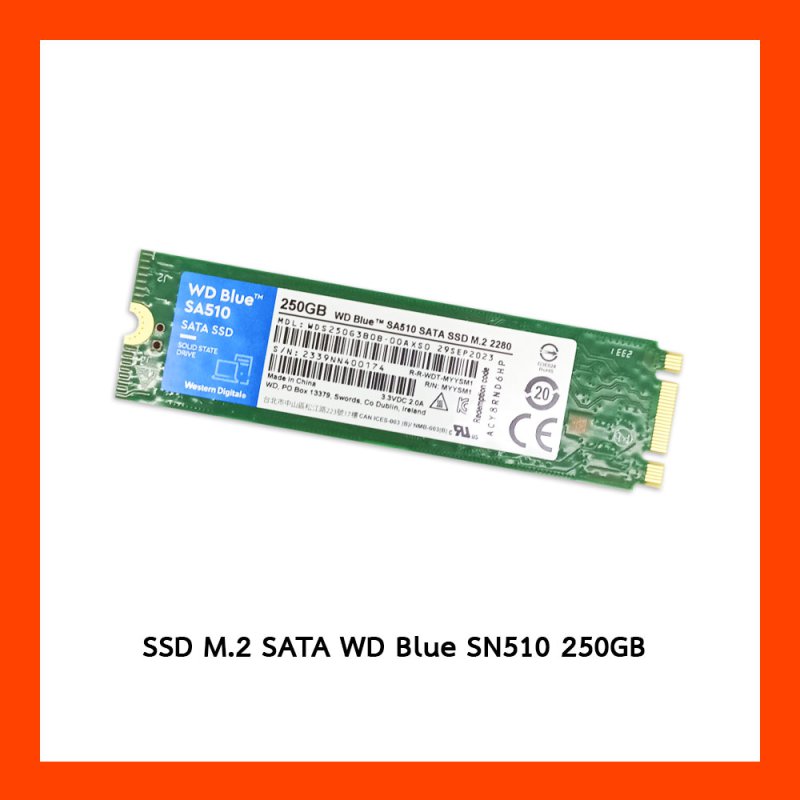 SSD M.2 SATA WD Blue SN510 250GB