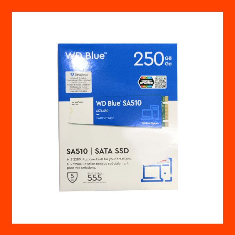 SSD M.2 SATA WD Blue SN510 250GB
