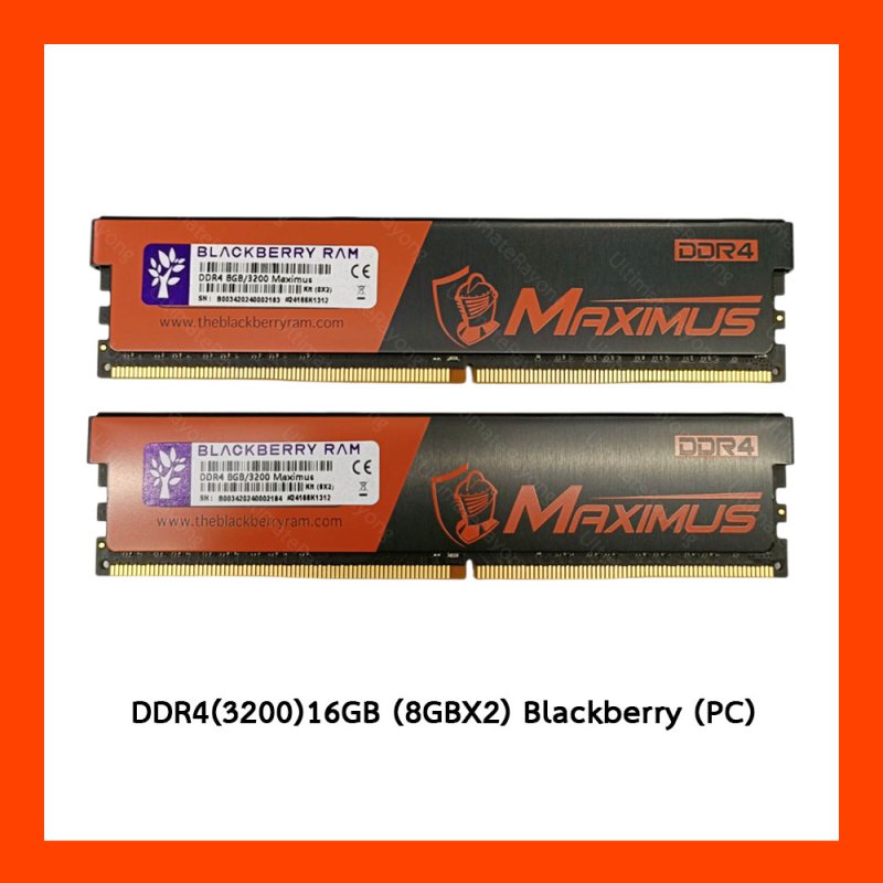 DDR4(3200)16GB (8GBX2) Blackberry