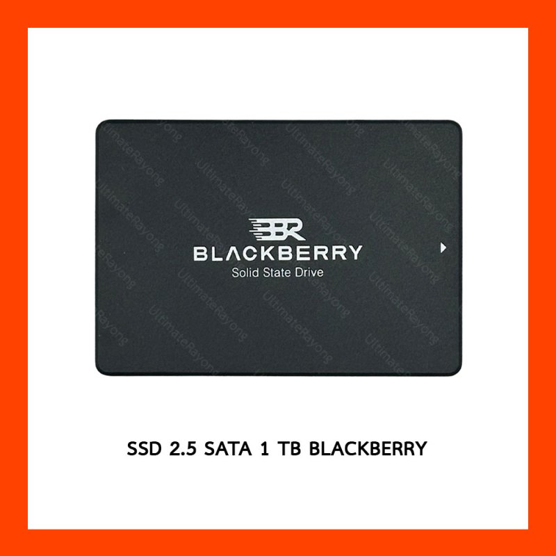 1 TB SSD SATA BLACKBERRY