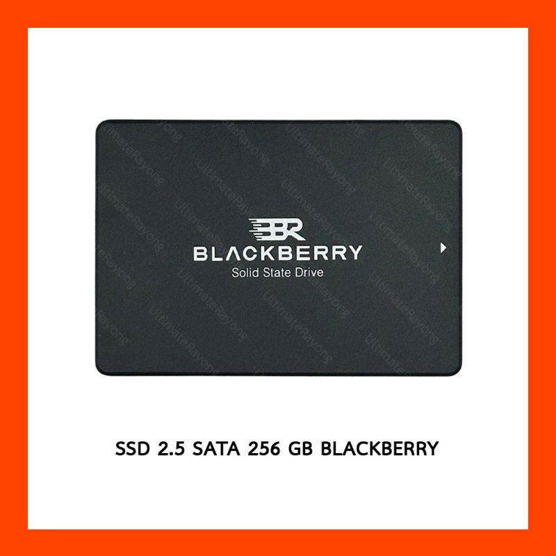 SSD 2.5 SATA 256 GB (3Y) BLACKBERRY