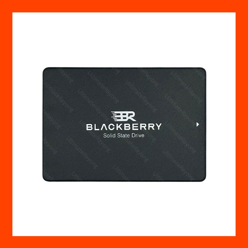 SSD 2.5 SATA 256 GB (3Y) BLACKBERRY